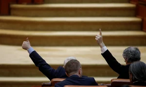 Vot in Parlament FOTO Inquam Photos  George Călin jpg