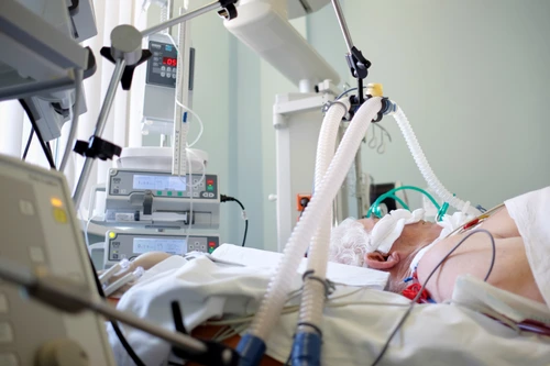 Claude Gatti a stat șase zile în comăfoto: Shutterstock