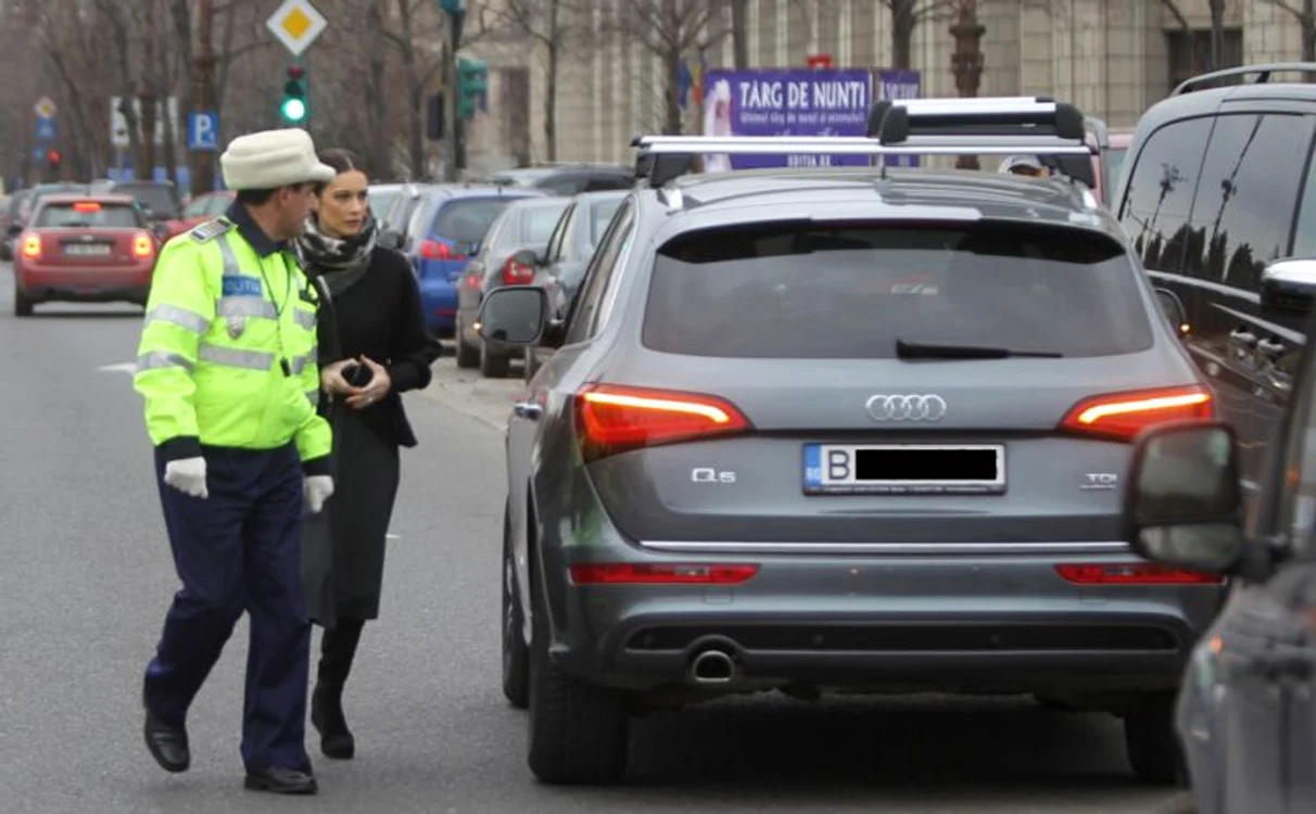 Andreea Berecleanu l-a convins pe poliţist şi a scăpat basma curată