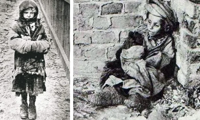 Război total împotriva țărănimii jpeg