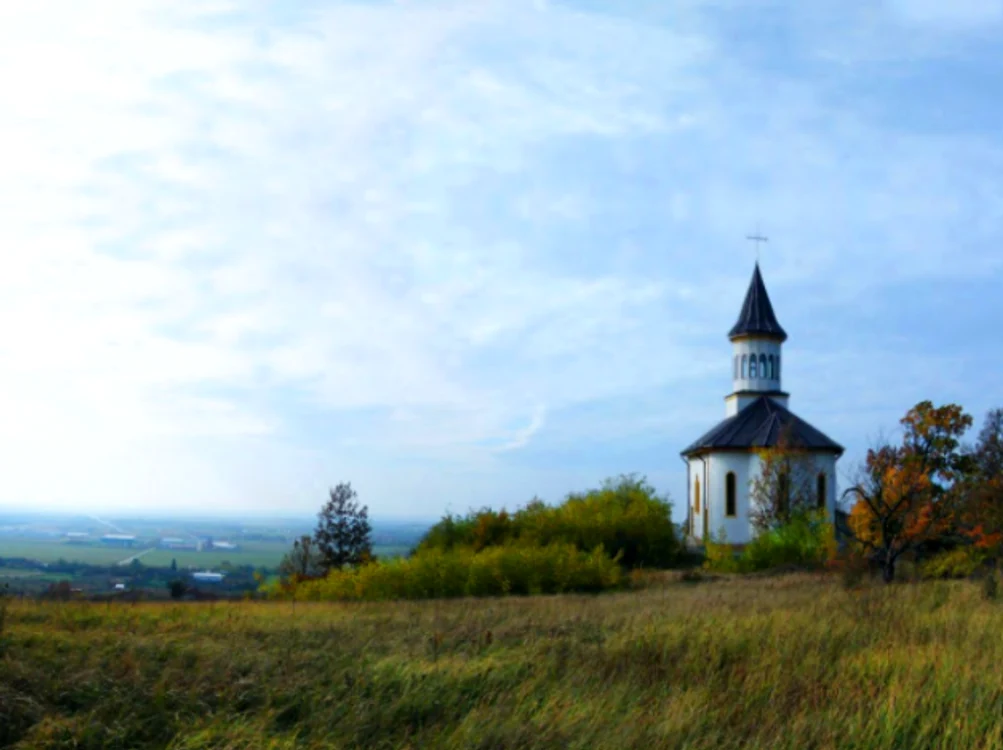 Biserica de pe Dealul Viilor din Lugoj Sursa Panoramio