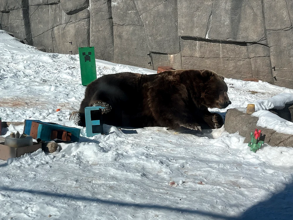 Au primit cadou jucării făcute din carton. FOTO: FACEBOOK