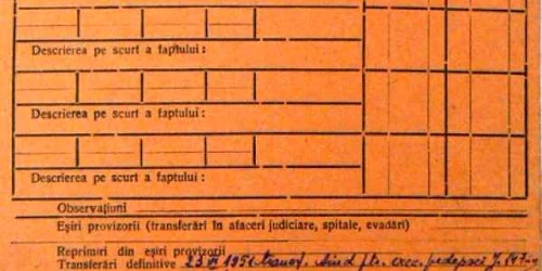 Fisa matricola penala Mircea Vulcanescu
