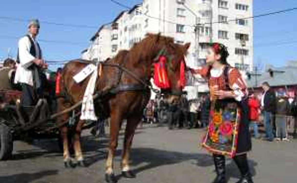 Gospodarii au împărţit pâinea cu animalele lor pentru un an bogat