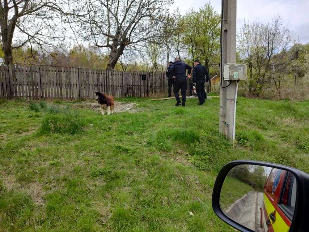 Ursul a rupt un gard înainte de a intra în curte FOTO ISU Vâlcea
