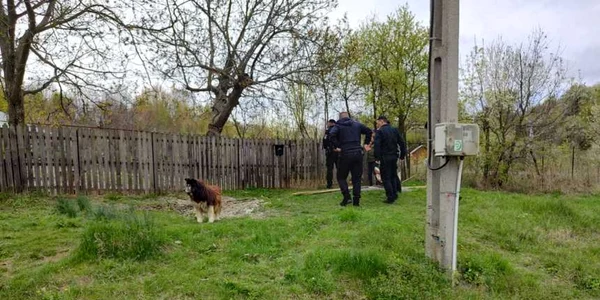 Ursul a rupt un gard înainte de a intra în curte FOTO ISU Vâlcea