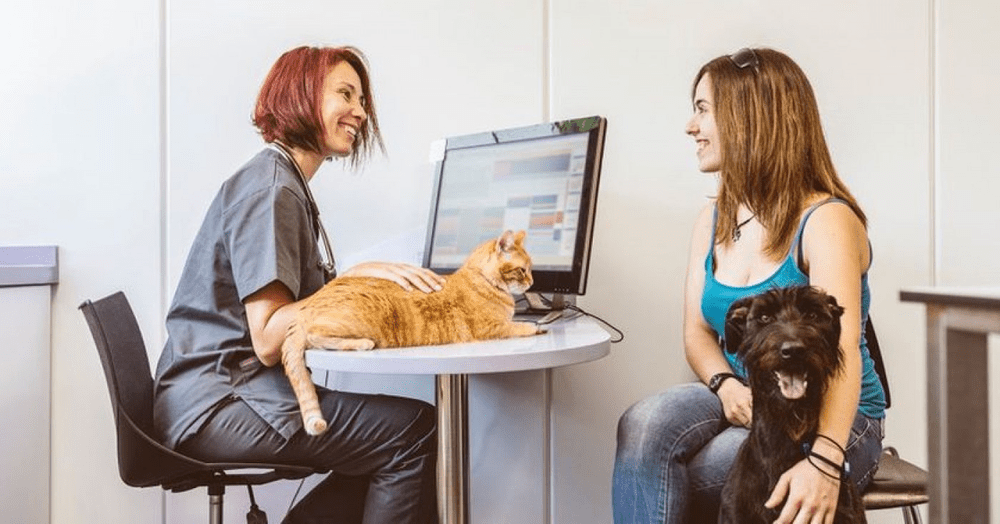 Cel mai bun job: O firmă angajează o persoană care să se uite la filme timp de zece ore. Care este salariul