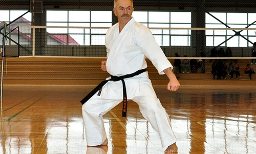 serban valeca ministru karate jpeg