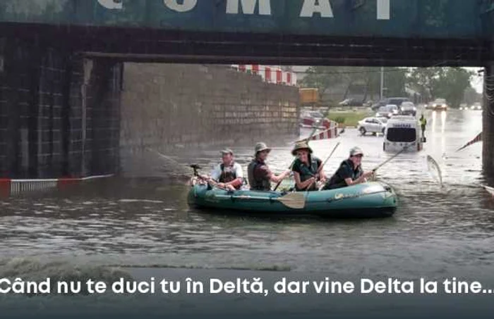 poze hazlii