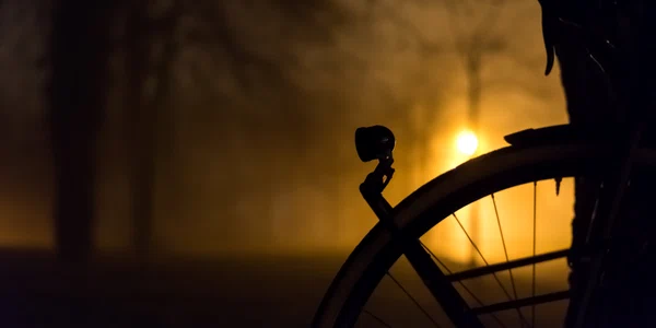 Bicicleta noaptea FOTO Shutterstock