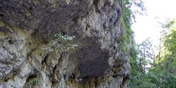 cheile oltetului 1 foto pesterapolovragi ro jpg