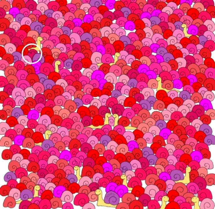 Rezolvarea provocării / foto: Dudolf