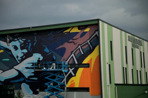 Pictura uriaşă de pe sala de sport din Dumbrăviţa