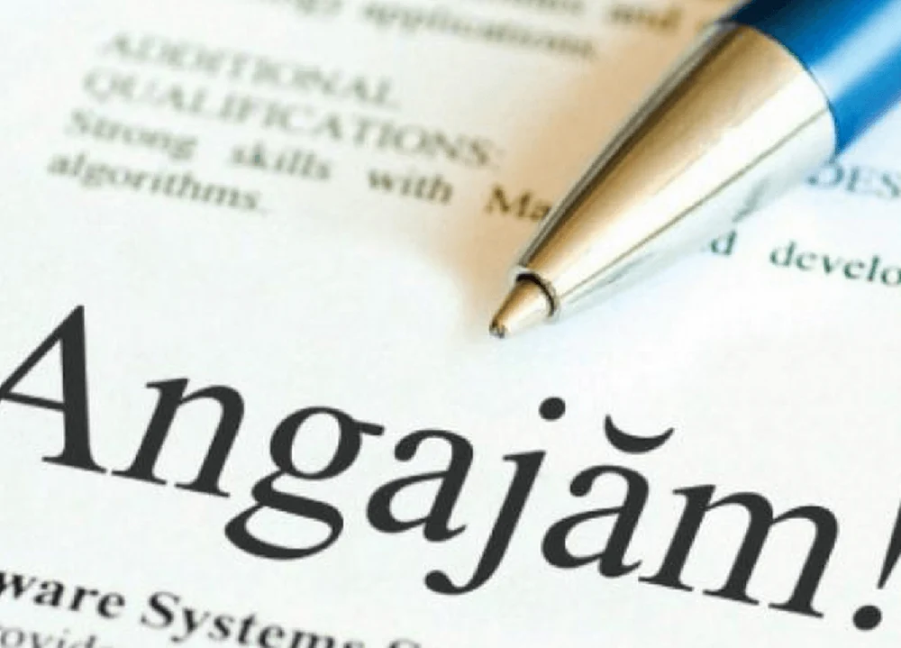 Piața muncii caută începători. Ce salarii li se oferă