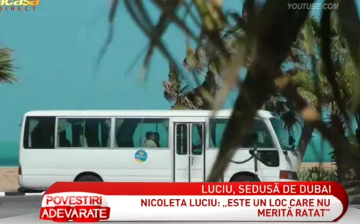 Nicoleta Luciu