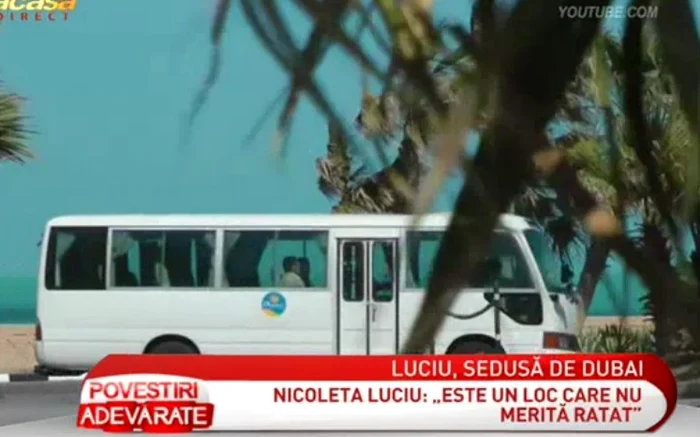 Nicoleta Luciu