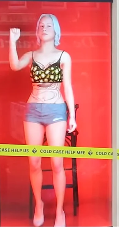 Autoritățile apelează la tehnologie pentru rezolvarea unei crime. Sursă foto: captură video YouTube