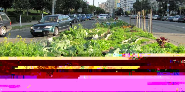 gradina urbana cluj