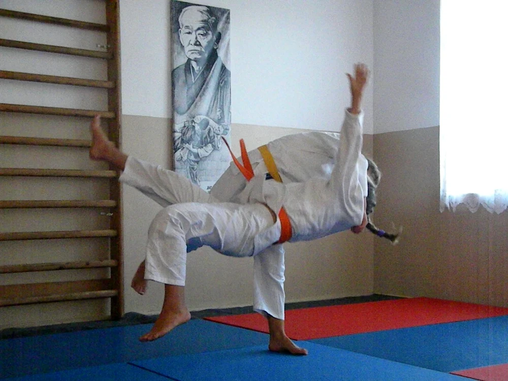 Stagiu de judo la Trebeş