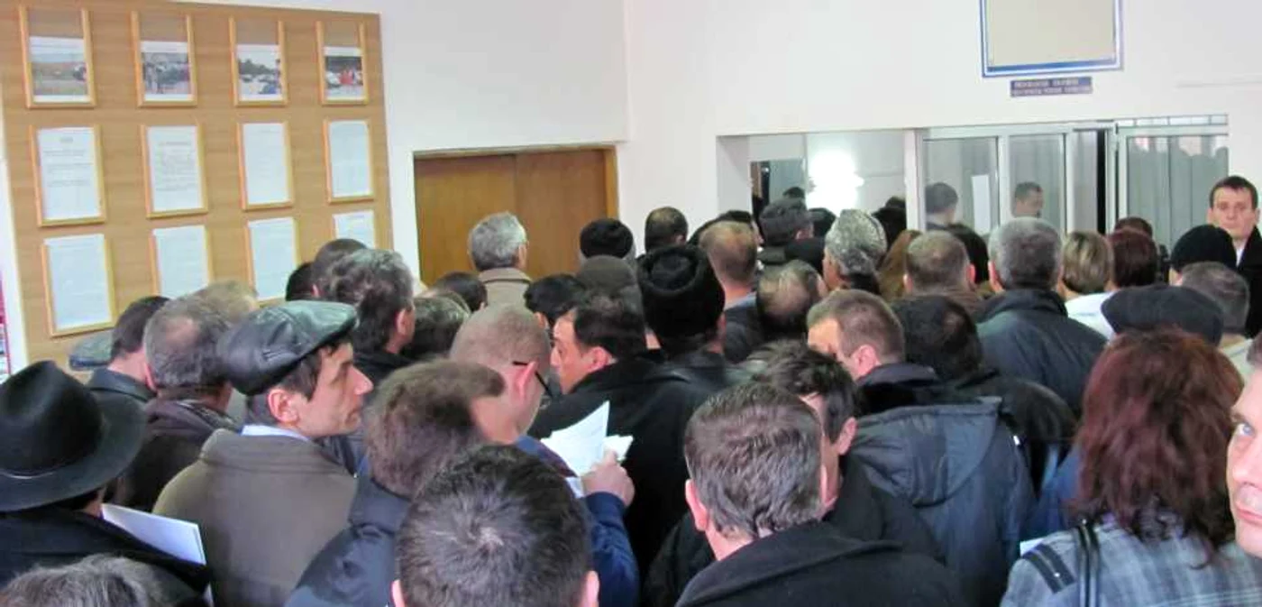 Mii de români vor să-şi schimbe permisul zilele acestea pentru a nu mai plăti costul analizelor medicale. FOTO: Adevărul