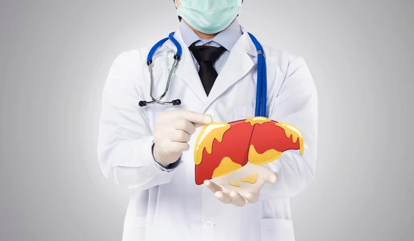 shutterstock 2223312511 jpg