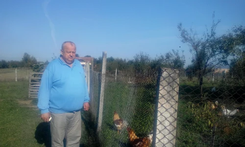 Ioan Tătăran îşi hrăneşte claponii cu grăunţe înmuiate în lapte şi cu furaje fără hormoni jpeg