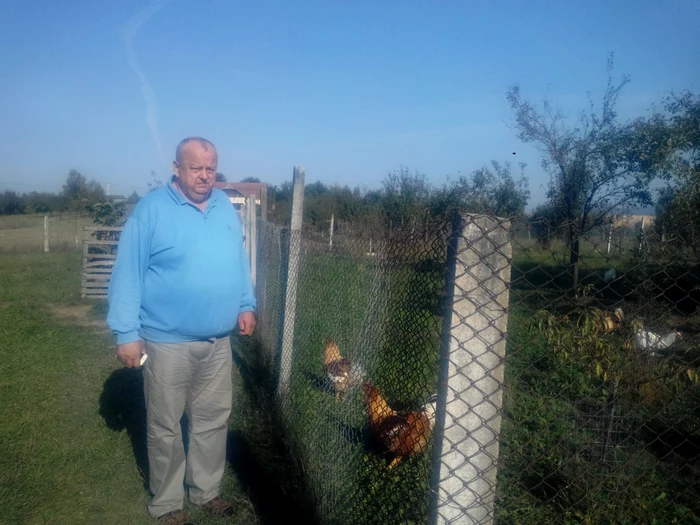 Ioan Tătăran îşi hrăneşte claponii cu grăunţe înmuiate în lapte şi cu furaje fără hormoni jpeg