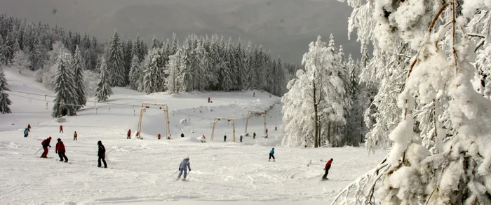 Pârtia Cavnic  FOTO Superskicavnic