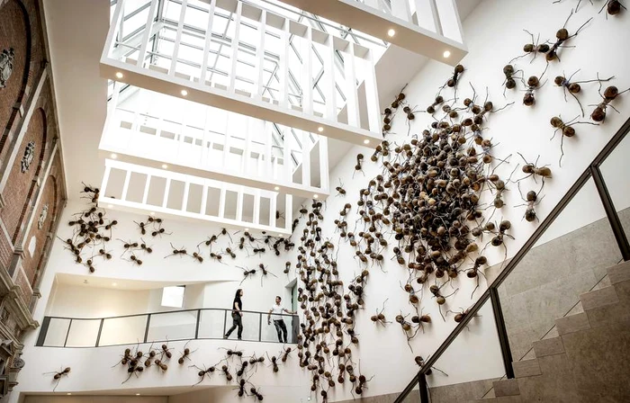 Instalația Casa Tomada, a artistului columbian Rafael Gomezbarros Foto EPA EFE 