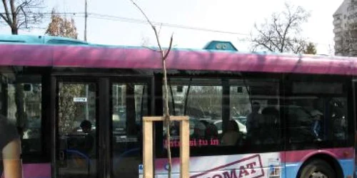 Bistriţa: Transport gratuit la Viişoara de zilele oraşului
