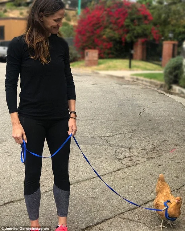 jennifer garner jpeg