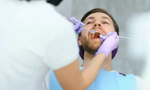 Shutterstock 2321122899 jpg