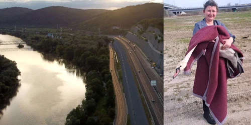 Lebădă salvată de pe Autostradă A1 jpg