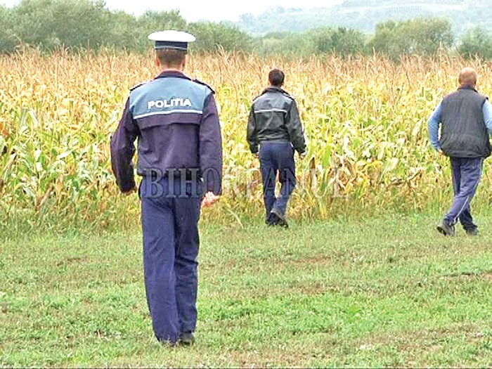 Poliţiştii au scotocit lanul de porumb în căutarea criminalului