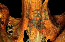 O controversă elucidată De ce erau mumiile din Luxor tatuate?! jpeg
