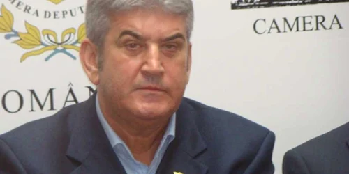 gabriel oprea