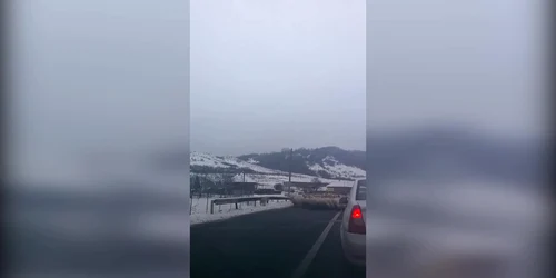 5c321005df52022f754fb3a1 jpg