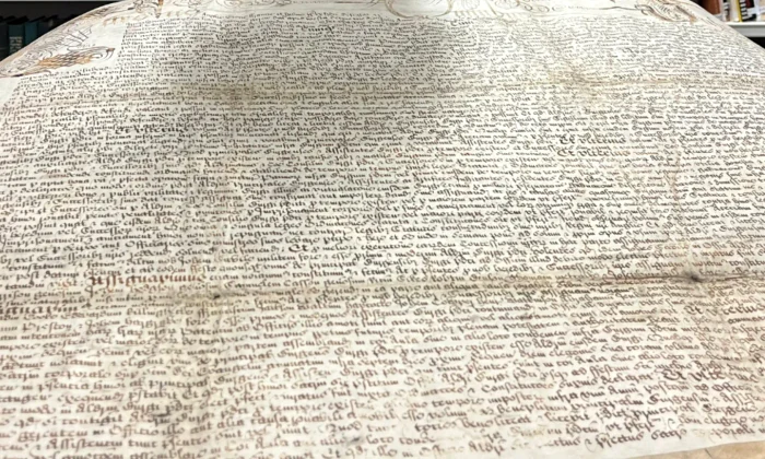 Royal Charter webp