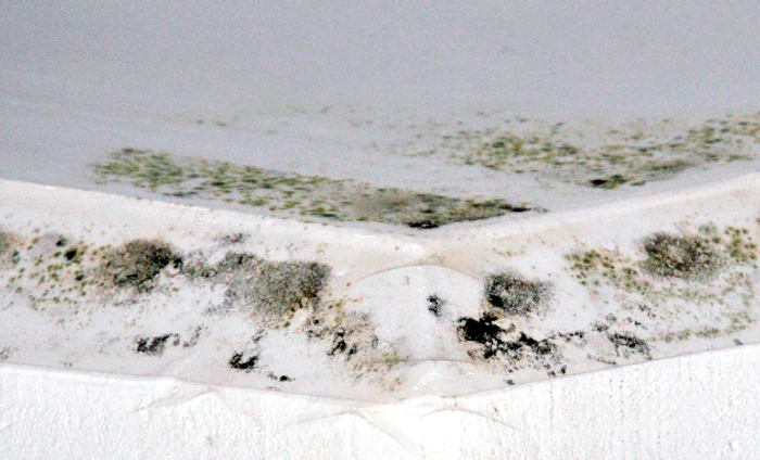 Produsele specializate sunt uşor de folosit