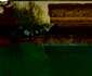 Parcul Arheologic - vestigii antice Cetatea Tomis Sursa Primăria Constanţa