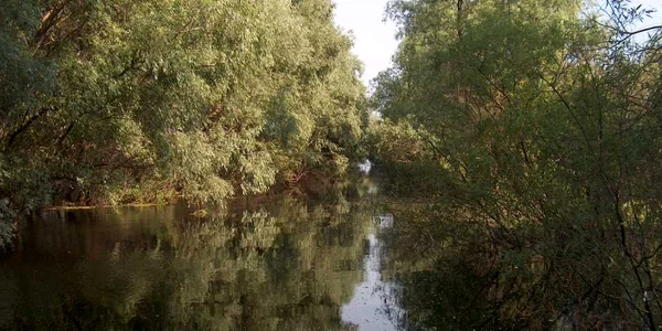 delta dunarii