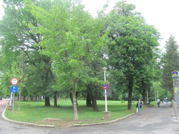 parcul sub arini sibiu17