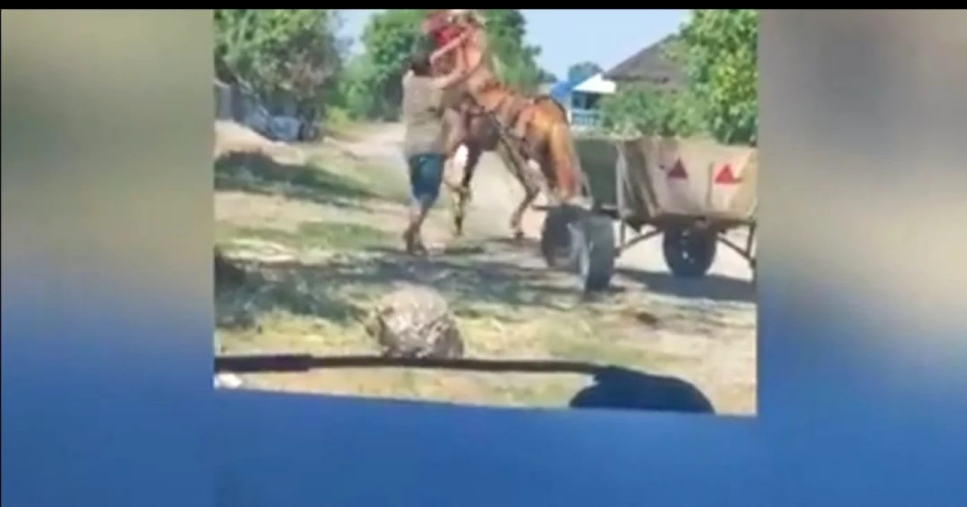 FOTO captură video