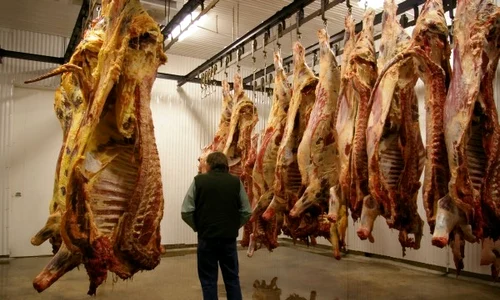 carne alterata 0 jpeg