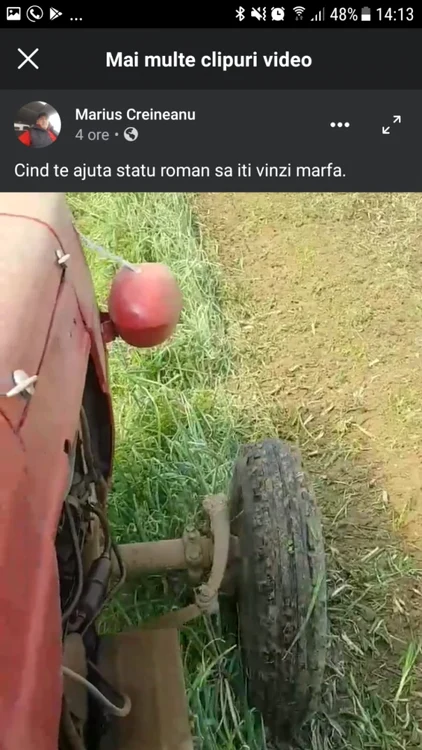ceapa distrusa