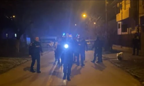 crima timisoara jpg