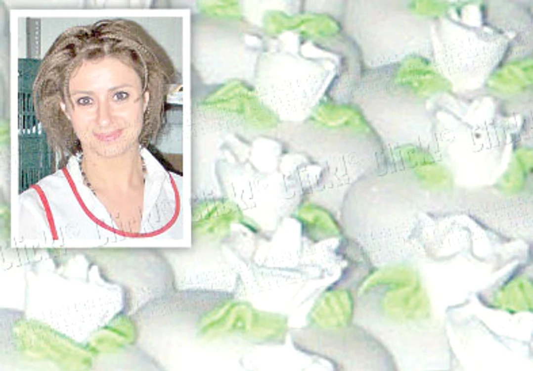 Prodanca de vanilie