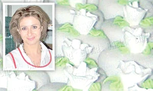 Prodanca de vanilie jpeg