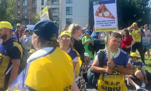 proteste profesori 9 foto adevarul jpg