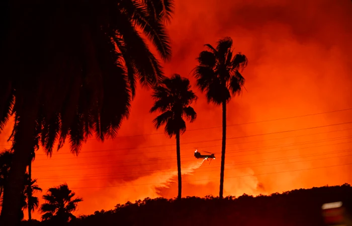 Palmieri incendiați în timpul incendiilor din LA, California, ianuarie 2025 GettyImages